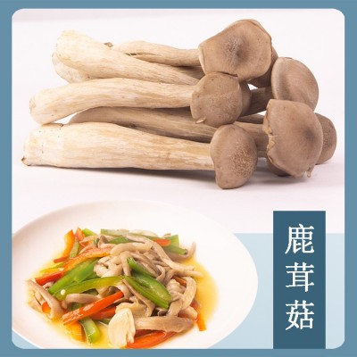 云南新鲜菌菇蘑菇组合1公斤礼盒装黑牛肝小香菇黑皮鸡枞鹿茸金耳图3