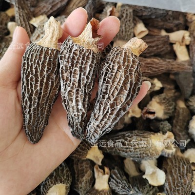 云南羊肚菌干货散装厂家批发精选5-8羊肚菌菇蘑菇煲汤2024年新货图3
