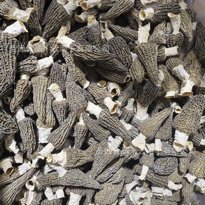 云南羊肚菌干货散装厂家批发精选5-8羊肚菌菇蘑菇煲汤2024年新货图2