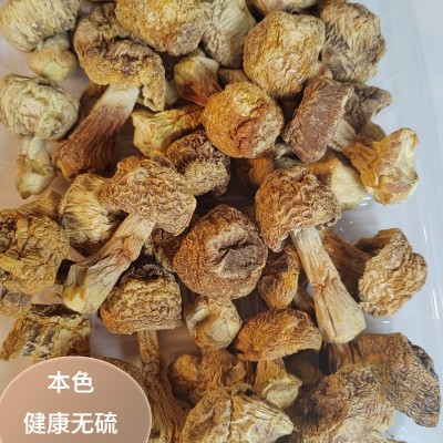 云南姬松茸干货松茸特产食用菌菇煲汤松茸菌菇汤包菌汤包批发袋装图2