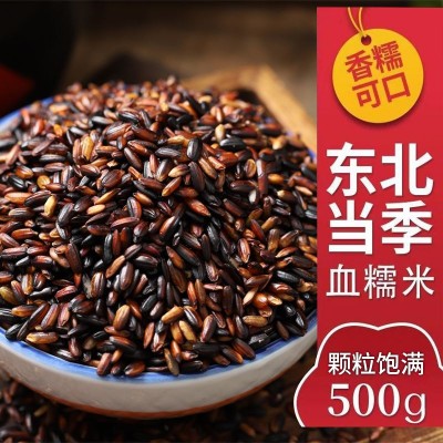 东北血糯米 当季新米粽子饭团软糯香甜500g 五谷杂粮 好吃粽子米图4
