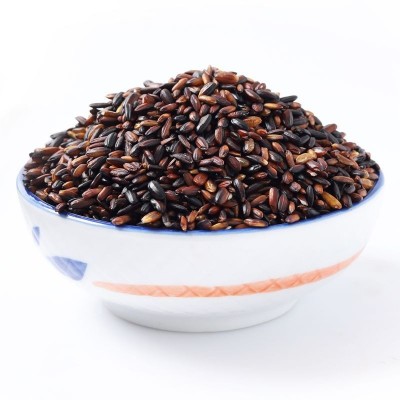 东北血糯米 当季新米粽子饭团软糯香甜500g 五谷杂粮 好吃粽子米图5