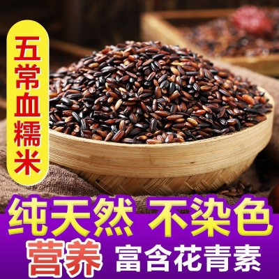 东北血糯米 当季新米粽子饭团软糯香甜500g 五谷杂粮 好吃粽子米图2