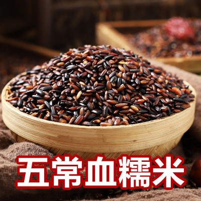 东北血糯米 当季新米粽子饭团软糯香甜500g 五谷杂粮 好吃粽子米图3