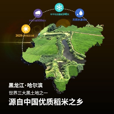 大米九色糙米2.5kg彩贴三五七色糙米五谷杂粮混合杂粗粮批发真空1图4