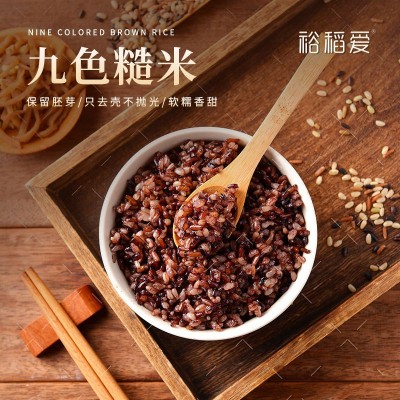 大米九色糙米2.5kg彩贴三五七色糙米五谷杂粮混合杂粗粮批发真空1图2