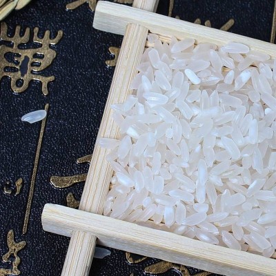 黑龙江五常大米东北大米长粒香饱满圆润产地直供批发图4