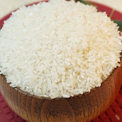 十乧香五常大米10斤厂家批发香甜可口粒粒饱满入口细糯产地直发图2