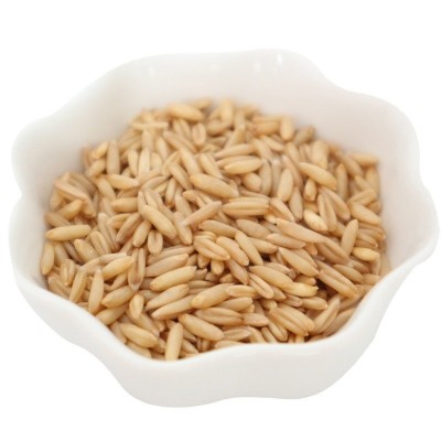 燕麦米2023年新米裸燕麦仁全胚芽米胚芽燕麦厂家直发批发一件代发图4