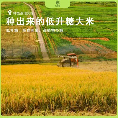 低GI控糖大米东北米2.5kg一袋5斤礼盒装工厂整箱批发代发优质图5