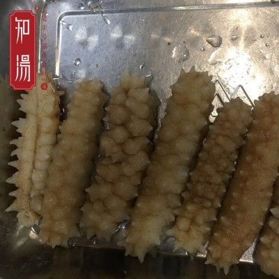 黑刺参 批发马来西亚黑刺王刺皇参黄肉参黄玉参120头产地直销图3