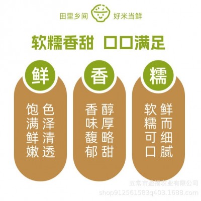 【田里乡间】2024年新米上市 东北珍珠大米新鲜现磨产地直 发2.5kg图3