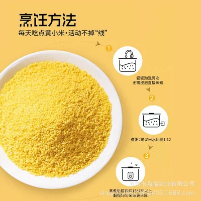 【田里乡间】24年新米 东北黄小 农家一级 糯米黑米 月子米 2.5kg图2