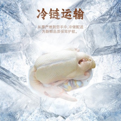 农家老番鸭 乡下自养红脸老鸭肉 正番鸭子生鲜鸭肉现杀土鸭整只发图2