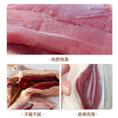 农家老番鸭 乡下自养红脸老鸭肉 正番鸭子生鲜鸭肉现杀土鸭整只发图4
