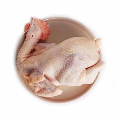 文昌鸡海南特产新鲜生鲜白切鸡农家散养走地鸡草鸡冷链配送椰子鸡图5