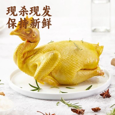 文昌鸡海南特产新鲜生鲜白切鸡农家散养走地鸡草鸡冷链配送椰子鸡图3