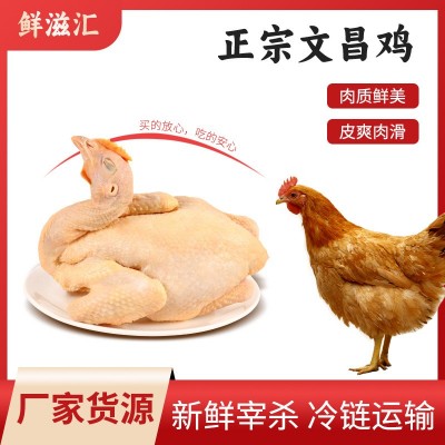 文昌鸡海南特产新鲜生鲜白切鸡农家散养走地鸡草鸡冷链配送椰子鸡