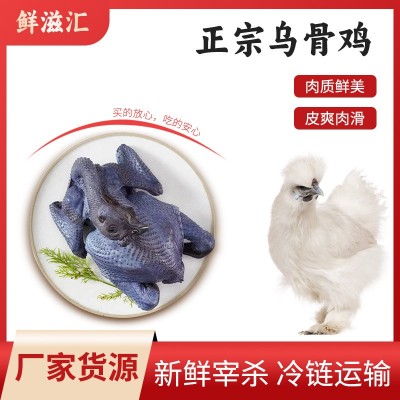 佛山现杀竹丝鸡煲汤佳品生鲜竹丝鸡批发新鲜土鸡农家散养乌鸡