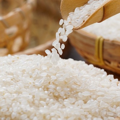 海安当季新米批发 米质饱满口感软糯通扬河大米 厂家供应图4