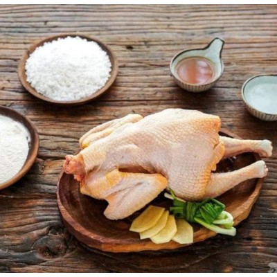 广州土鸡广州正宗跑山土鸡图2