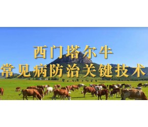 西门塔尔牛常见病防治关键技术
