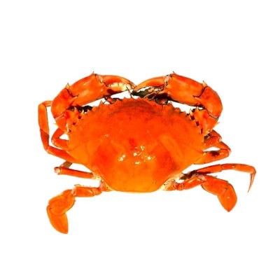 生冻孟加拉缅甸野生青蟹肉蟹膏蟹螃蟹黑海蟹铁泥波格力蟹图5