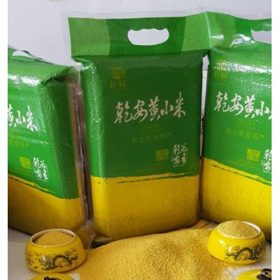 东北黄小米牌子，东北小米市场分析，黄小米产的好图2