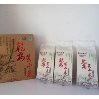 东北黄小米批发，东北黄小米厂家，东北黄小米 来电详谈图2