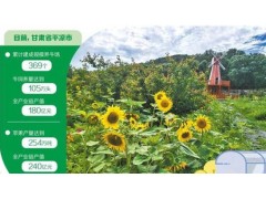 甘肃平凉：精品农业添色乡村振兴