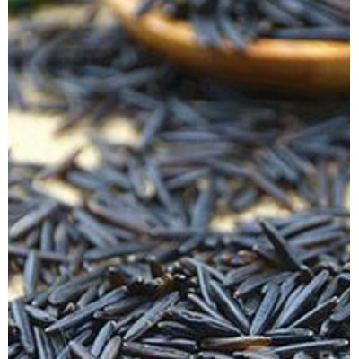 北美土特产野米，冰湖松针米格