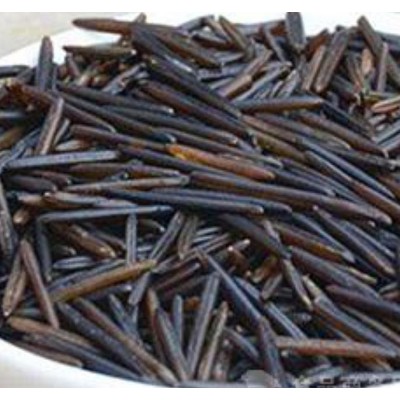 加拿大进口野米 印第安米 松针米 玻利维亚藜麦价格