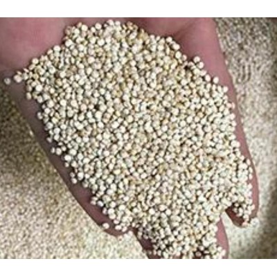 苏必利尔野米批发 墨西哥奇亚籽价格 玻利维亚藜麦供应图4
