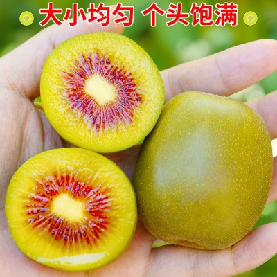四川红心猕猴桃30枚奇异果礼盒水果新鲜大果当季应季整箱 包邮蒲江图3