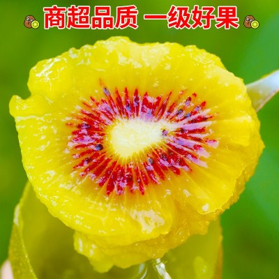 四川红心猕猴桃30枚奇异果礼盒水果新鲜大果当季应季整箱 包邮蒲江图4