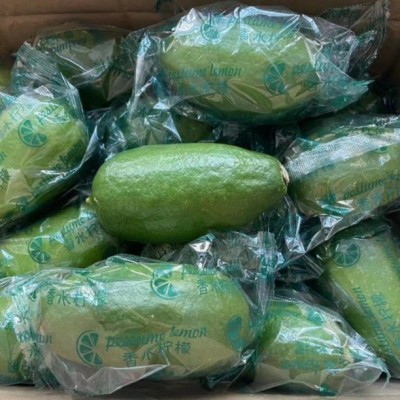 香水柠檬子弹头无籽青柠一箱一整箱应季新鲜水果产地直发一 件代发图4