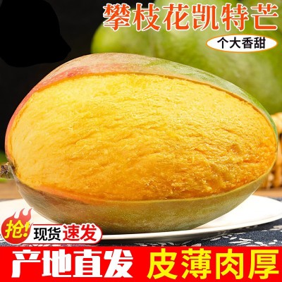 正宗四川攀枝花凯特芒新鲜水果10斤当季整箱大芒果包邮产地直发图2