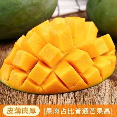 正宗四川攀枝花凯特芒新鲜水果10斤当季整箱大芒果包邮产地直发图5