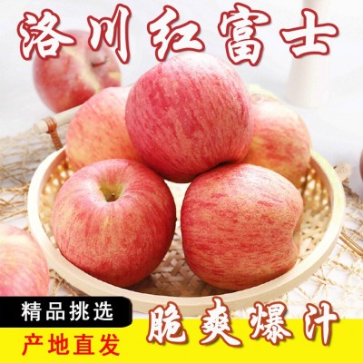 陕西正宗洛川红富士苹果新鲜水果10斤苹果脆甜整箱包邮产地直发图2
