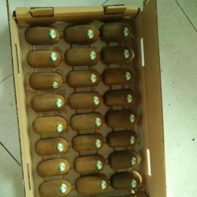 修文猕猴桃之古驿猕香图2