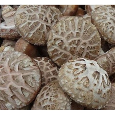 秦农合作社大量供应新鲜香菇，各种花菇图4