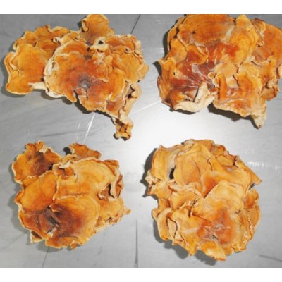 榆耳产地直销批发图2