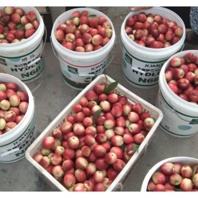 南阳翠甜油桃格图5