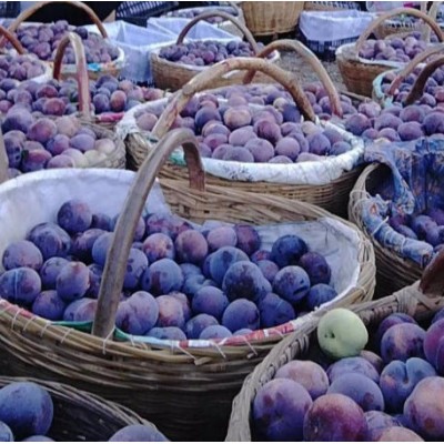 李子产地直供黑布林大量上市中，价格美丽图4