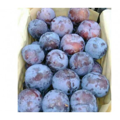 李子产地直供黑布林大量上市中，价格美丽图5