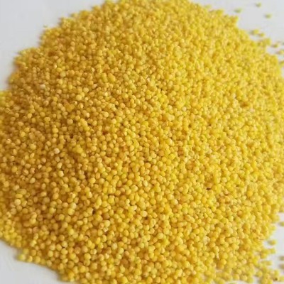 内蒙古赤峰敖汉黄小米5kg手提袋装农家一类小米杂粮大金苗敖谷神图5