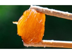 歙县杞梓里镇：蜜枣活动热涌潮 “甜蜜产业”助振兴