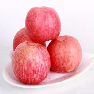 条红红富士苹果 冷库苹果格走势图2