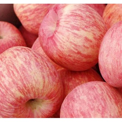 苹果冷库格介绍 栖霞冷库红富士苹果价格图3