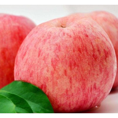 苹果冷库格介绍 栖霞冷库红富士苹果价格图4